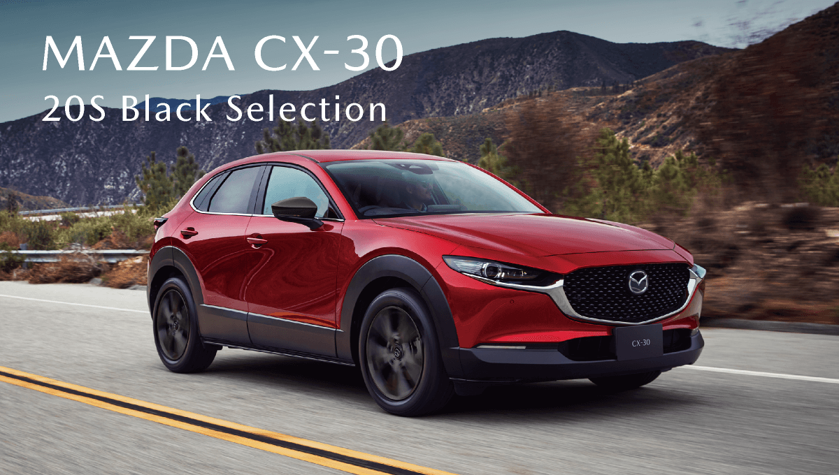 CX-30